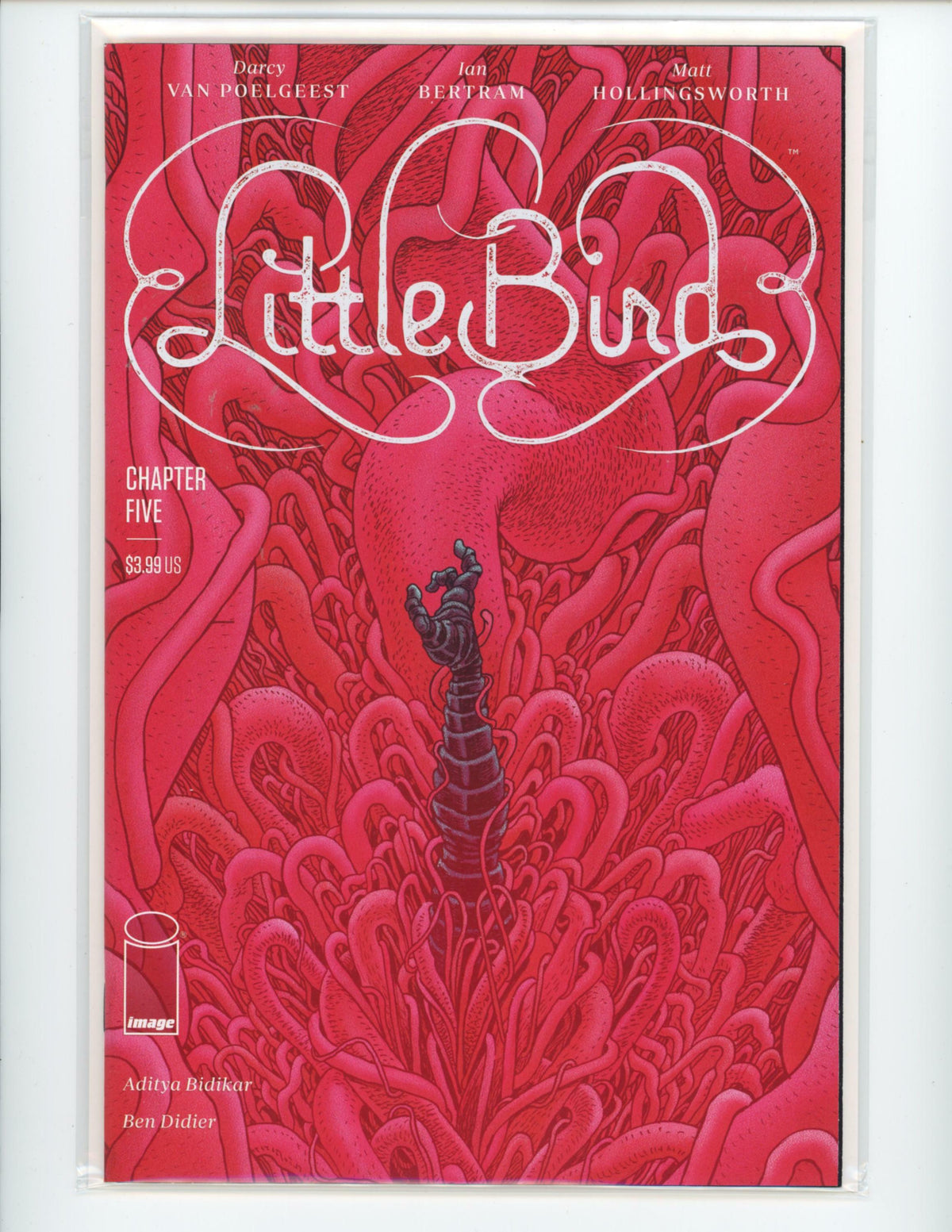 Image Little Bird #5 Comic Book B22- 88