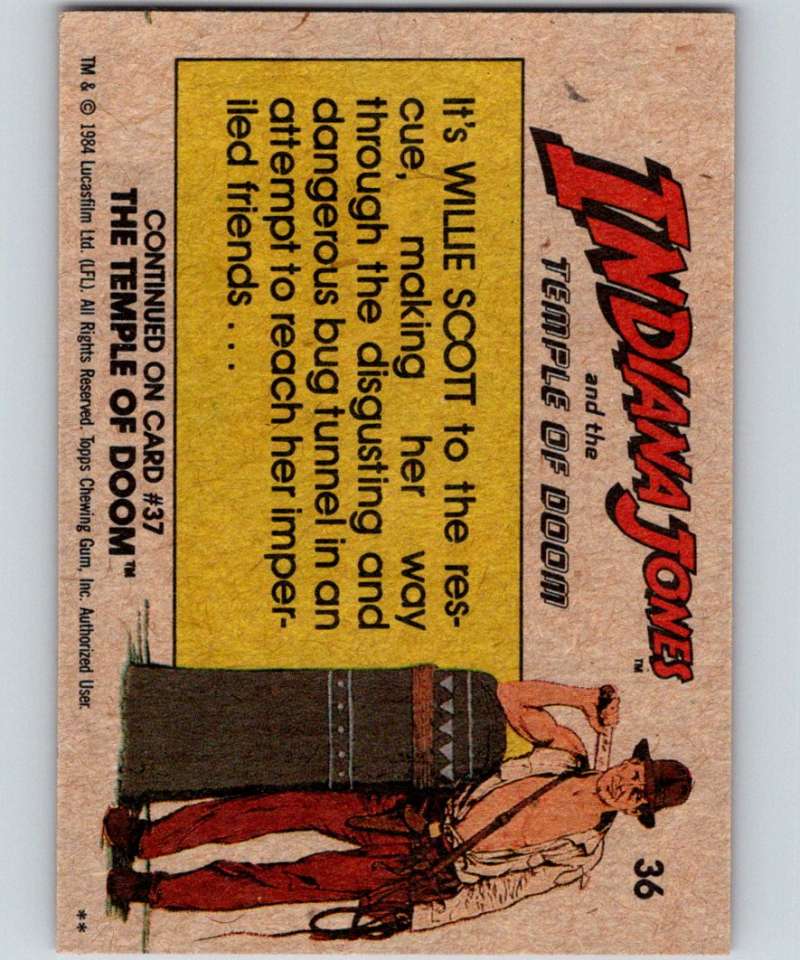 1984 Topps Indiana Jones and the Temple of Doom #36 Willie in the Bug Tunnel Image 2