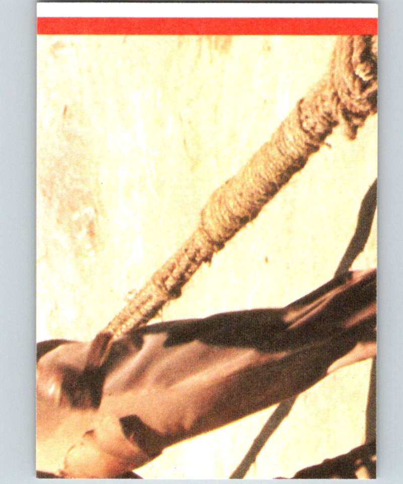 1984 Topps Indiana Jones and the Temple of Doom Stickers #9 Willie! Hurry Up!