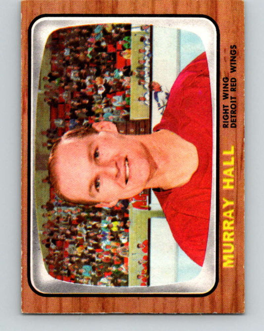 1966-67 Topps #105 Murray Hall NHL Detroit Red Wings  8199 Image 1