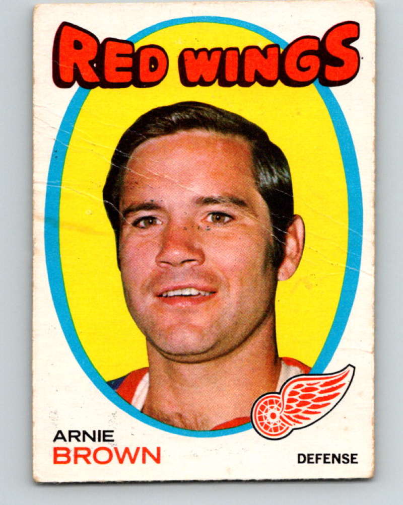 1971-72 O-Pee-Chee #14 Arnie Brown Detroit Red Wings 8709