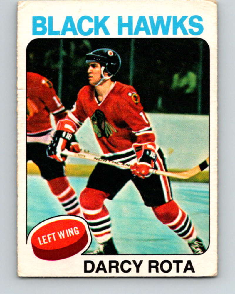 1975-76 O-Pee-Chee #66 Darcy Rota Chicago Blackhawks 9289