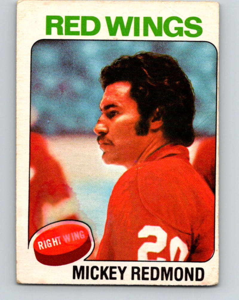 1975-76 O-Pee-Chee #120 Mickey Redmond Detroit Red Wings 9343