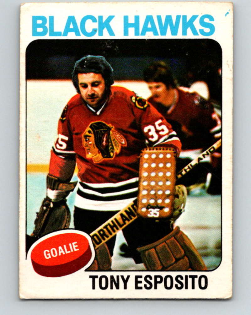 1975-76 O-Pee-Chee #240 Tony Esposito Chicago Blackhawks 9463