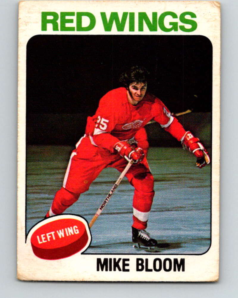 1975-76 O-Pee-Chee #376 Mike Bloom Detroit Red Wings 9604