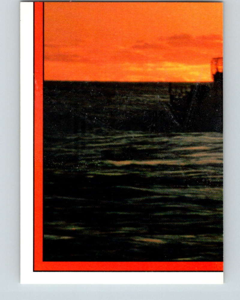1991 Topps Desert Storm Stickers #17 Desert Storm MINT
