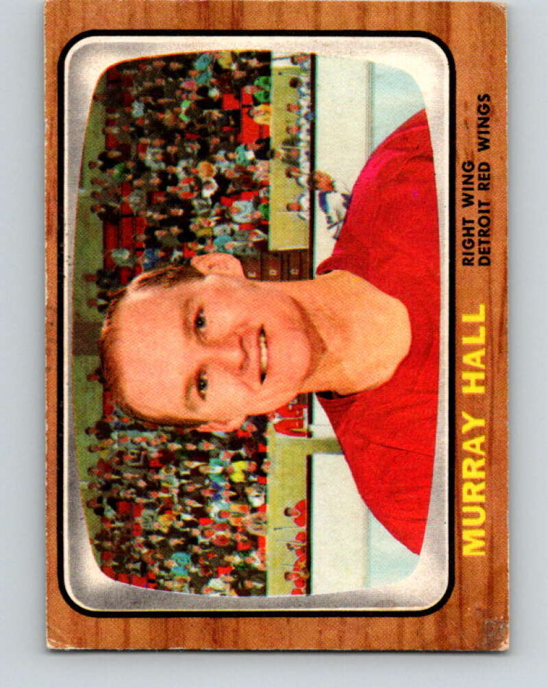 1966-67 Topps #105 Murray Hall Detroit Red Wings V727