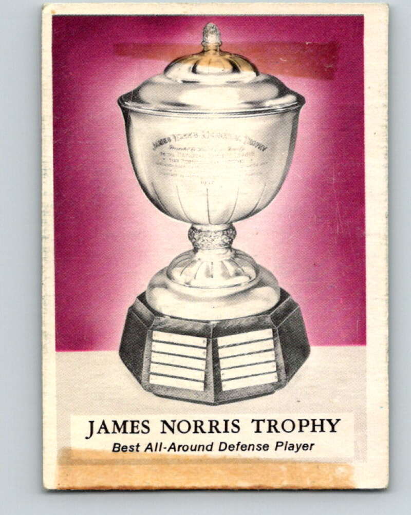 1969-70 O-Pee-Chee #228 James Norris Trophy V1993