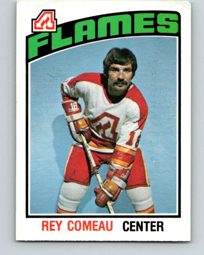 1976-77 O-Pee-Chee #342 Mike Pelyk Toronto Maple Leafs V2325