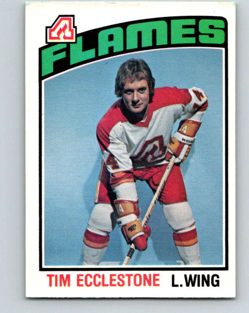 1976-77 O-Pee-Chee #351 Tim Ecclestone Atlanta Flames V2335