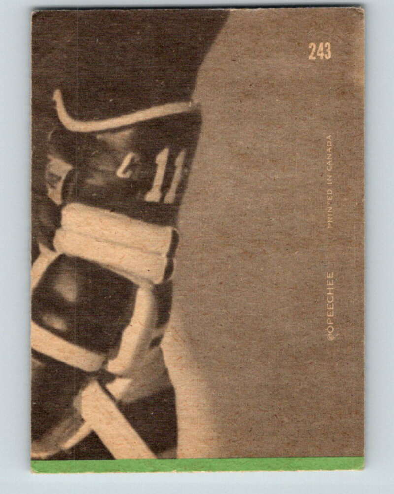 1970-71 O-Pee-Chee #243 Carl Brewer AS Detroit Red Wings V3078