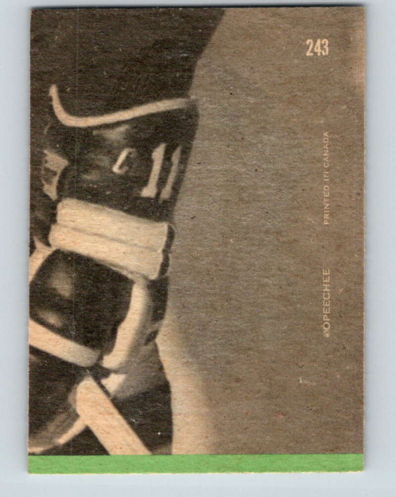1970-71 O-Pee-Chee #243 Carl Brewer AS Detroit Red Wings V3079