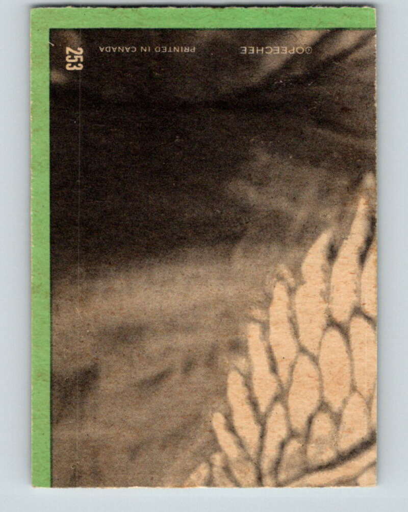 1970-71 O-Pee-Chee #253 Pit Martin Masterton Award V3108