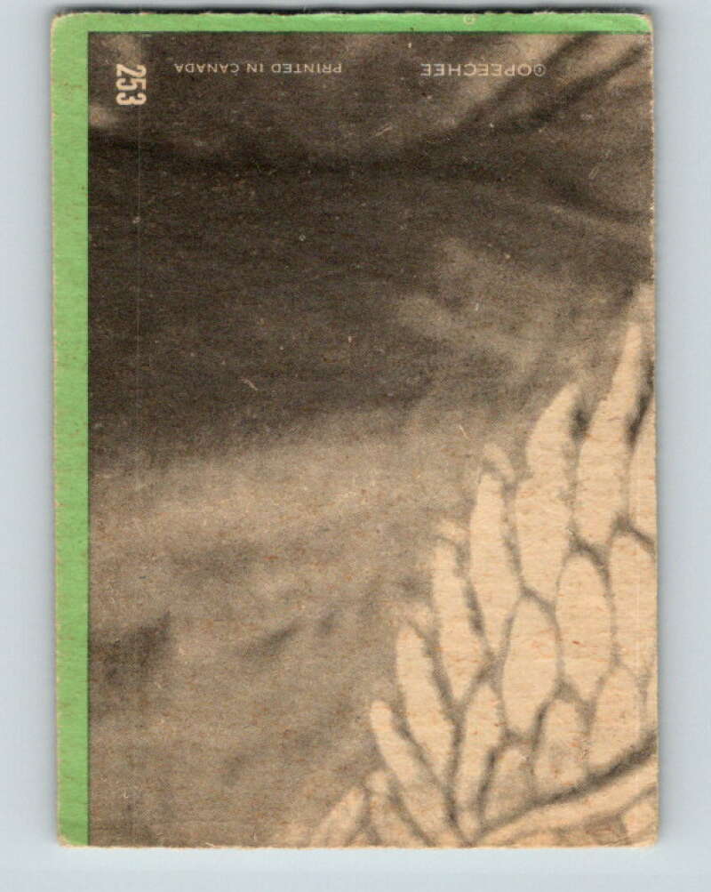 1970-71 O-Pee-Chee #253 Pit Martin Masterton Award V3110