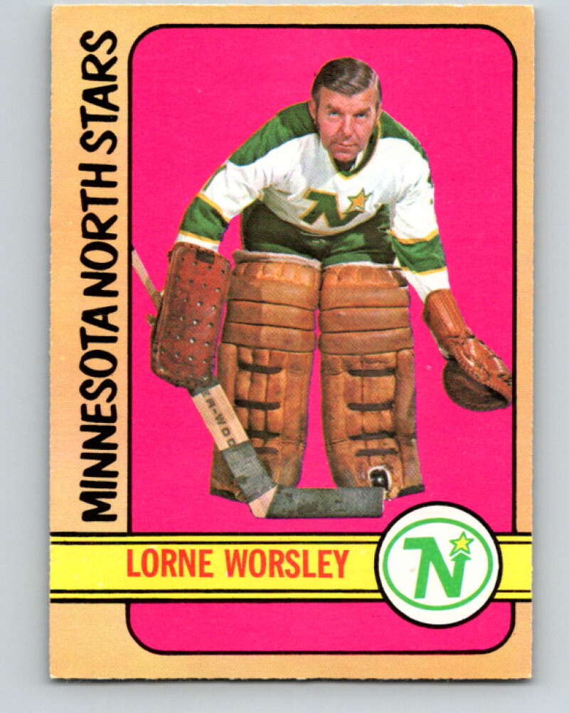 1972-73 O-Pee-Chee #28 Gump Worsley Minnesota North Stars V3313
