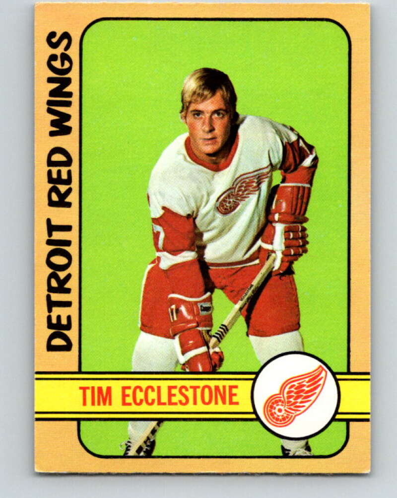 1972-73 O-Pee-Chee #55 Tim Ecclestone Detroit Red Wings V3468