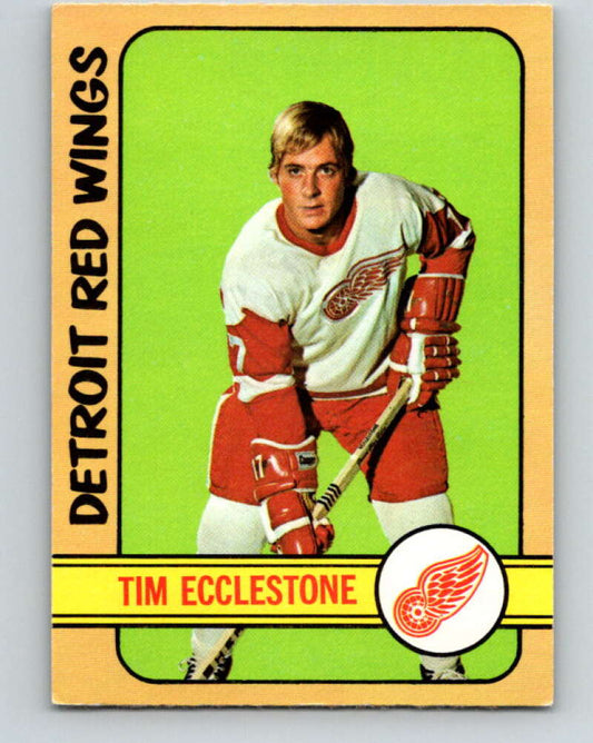 1972-73 O-Pee-Chee #55 Tim Ecclestone  Detroit Red Wings  V3468