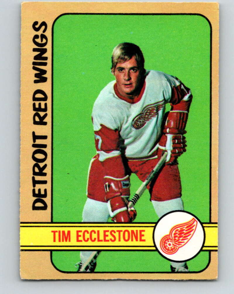 1972-73 O-Pee-Chee #55 Tim Ecclestone Detroit Red Wings V3469
