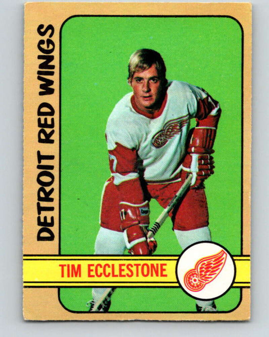 1972-73 O-Pee-Chee #55 Tim Ecclestone  Detroit Red Wings  V3469
