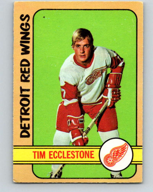 1972-73 O-Pee-Chee #55 Tim Ecclestone  Detroit Red Wings  V3470