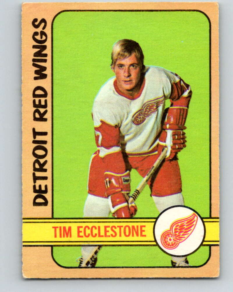 1972-73 O-Pee-Chee #55 Tim Ecclestone Detroit Red Wings V3471