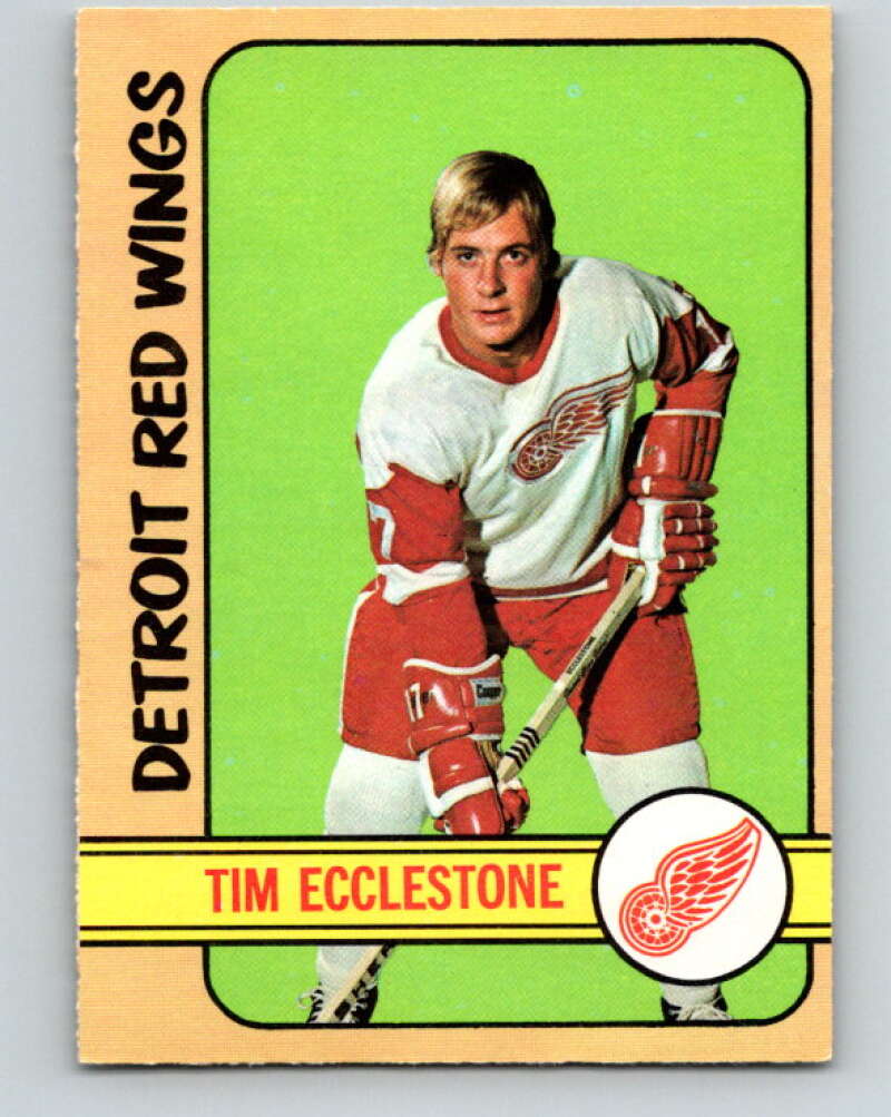 1972-73 O-Pee-Chee #55 Tim Ecclestone Detroit Red Wings V3472