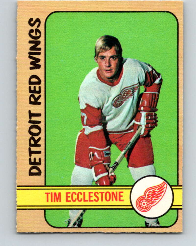 1972-73 O-Pee-Chee #55 Tim Ecclestone Detroit Red Wings V3473