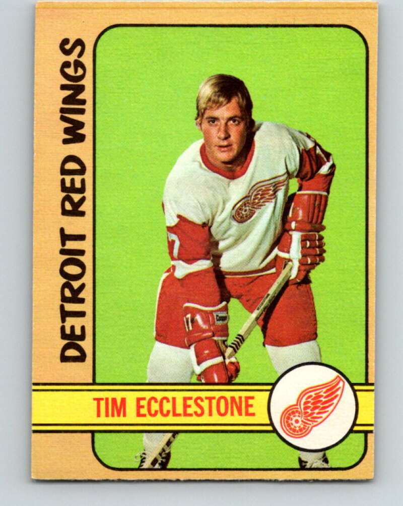 1972-73 O-Pee-Chee #55 Tim Ecclestone Detroit Red Wings V3474