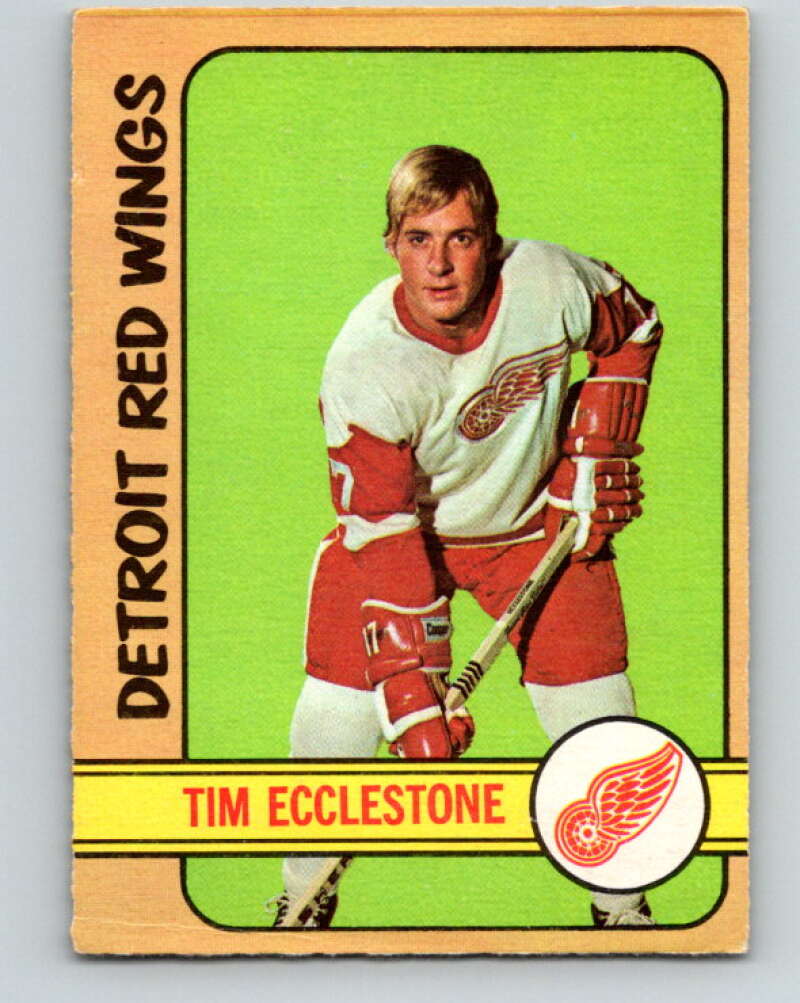 1972-73 O-Pee-Chee #55 Tim Ecclestone Detroit Red Wings V3475