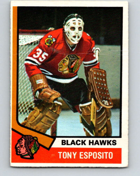 1974-75 O-Pee-Chee #170 Tony Esposito  Chicago Blackhawks  V4618