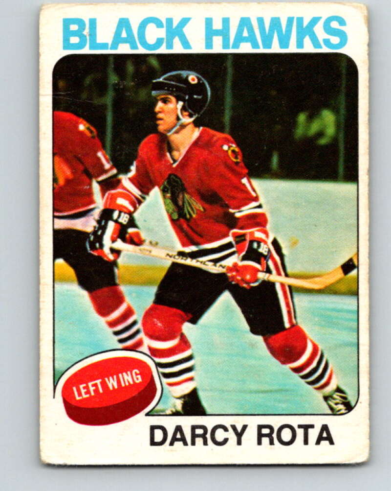 1975-76 O-Pee-Chee #66 Darcy Rota Chicago Blackhawks V5464