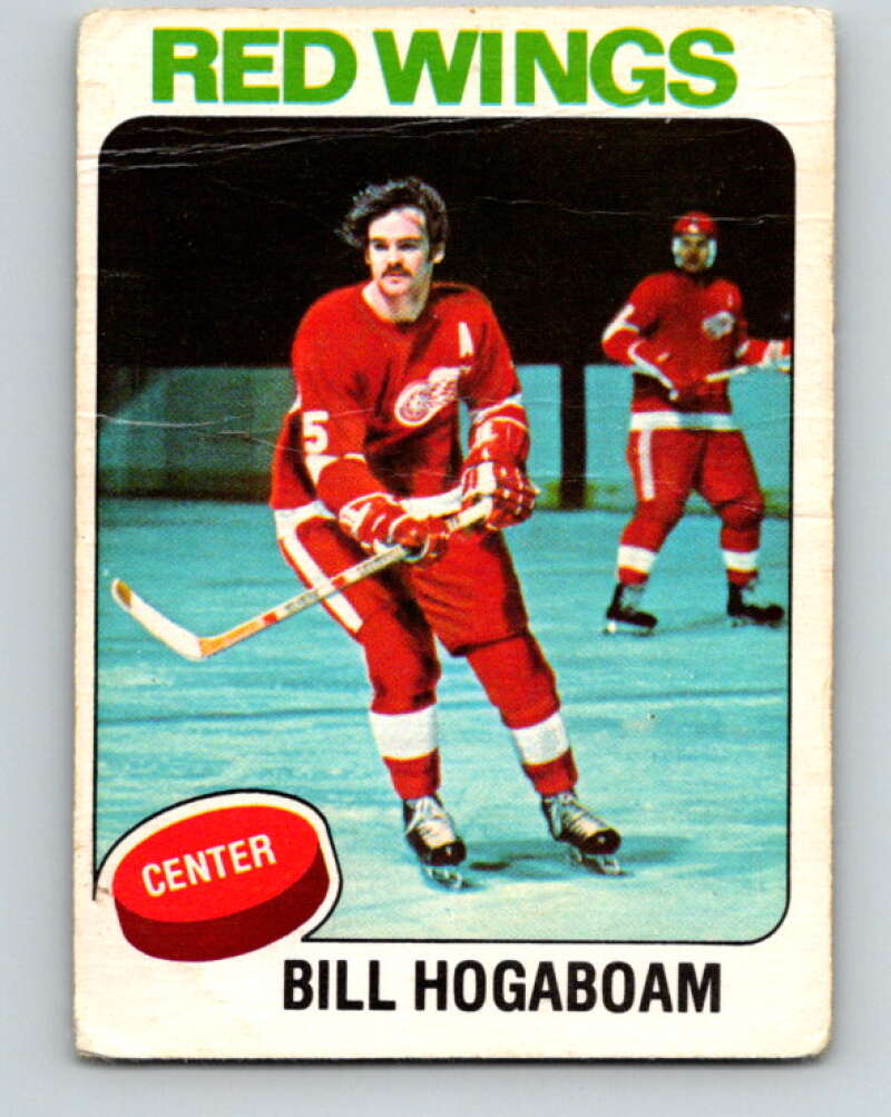 1975-76 O-Pee-Chee #67 Bill Hogaboam Detroit Red Wings V5465