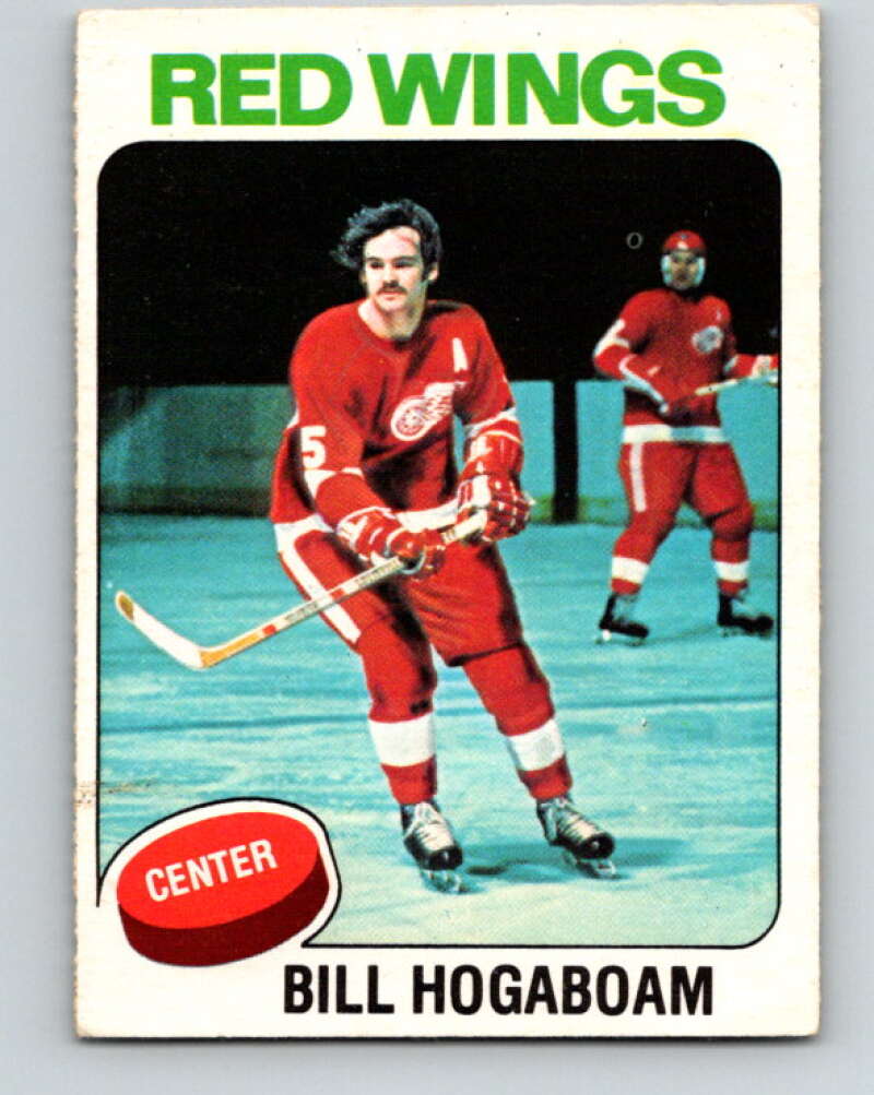 1975-76 O-Pee-Chee #67 Bill Hogaboam Detroit Red Wings V5467