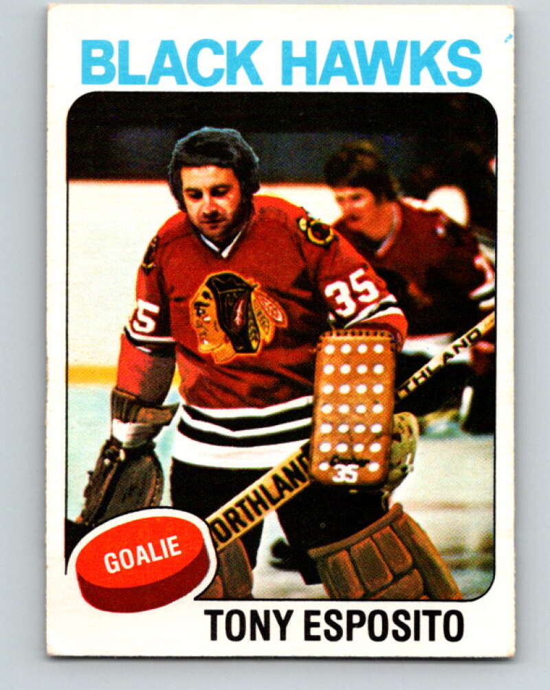 1975-76 O-Pee-Chee #240 Tony Esposito Chicago Blackhawks V6229
