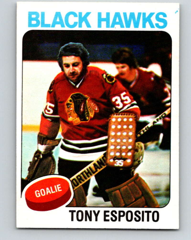 1975-76 O-Pee-Chee #240 Tony Esposito Chicago Blackhawks V6230