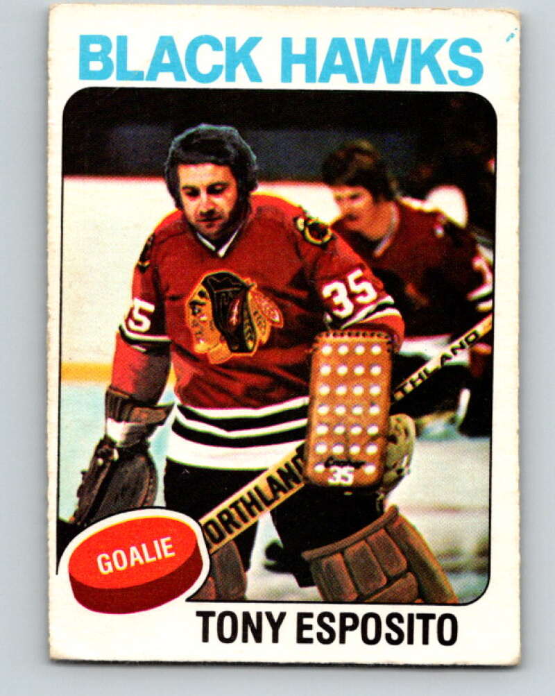 1975-76 O-Pee-Chee #240 Tony Esposito Chicago Blackhawks V6232
