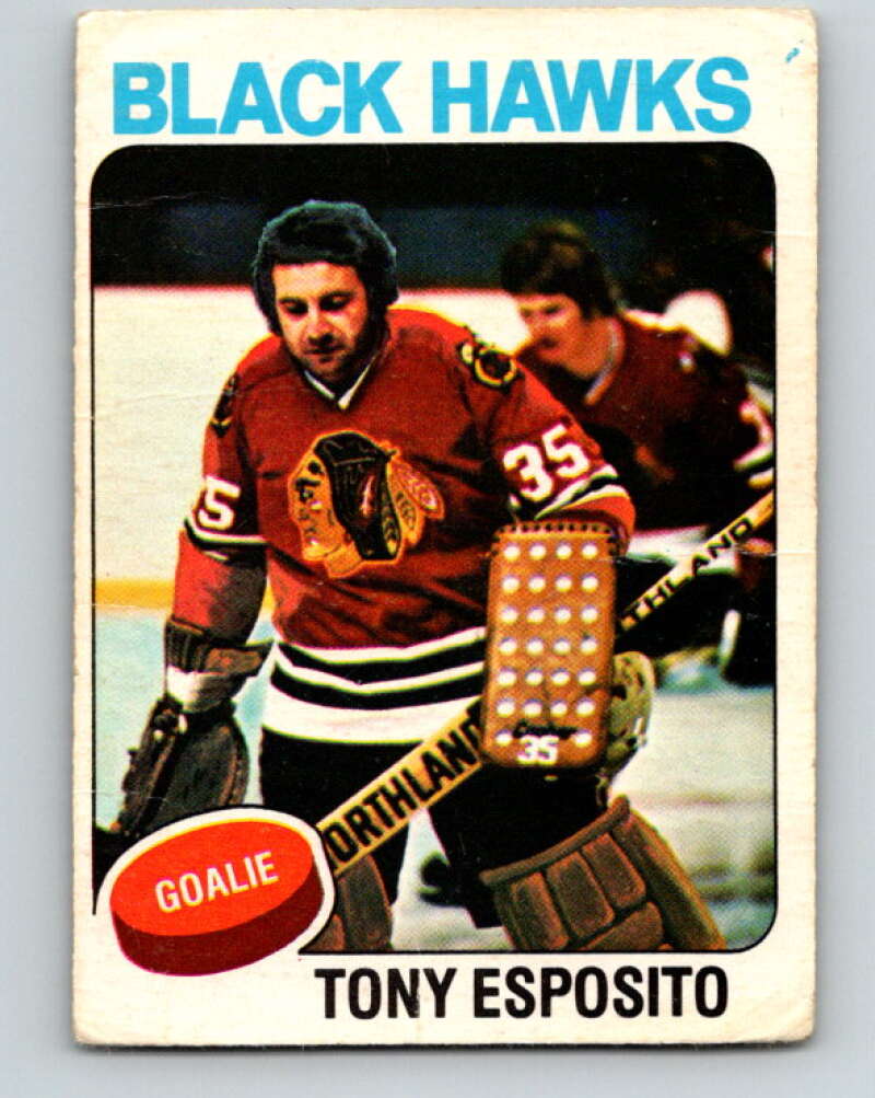 1975-76 O-Pee-Chee #240 Tony Esposito Chicago Blackhawks V6233