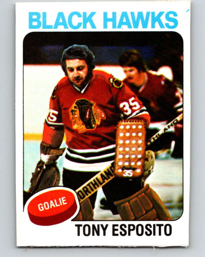 1975-76 O-Pee-Chee #240 Tony Esposito Chicago Blackhawks V6234