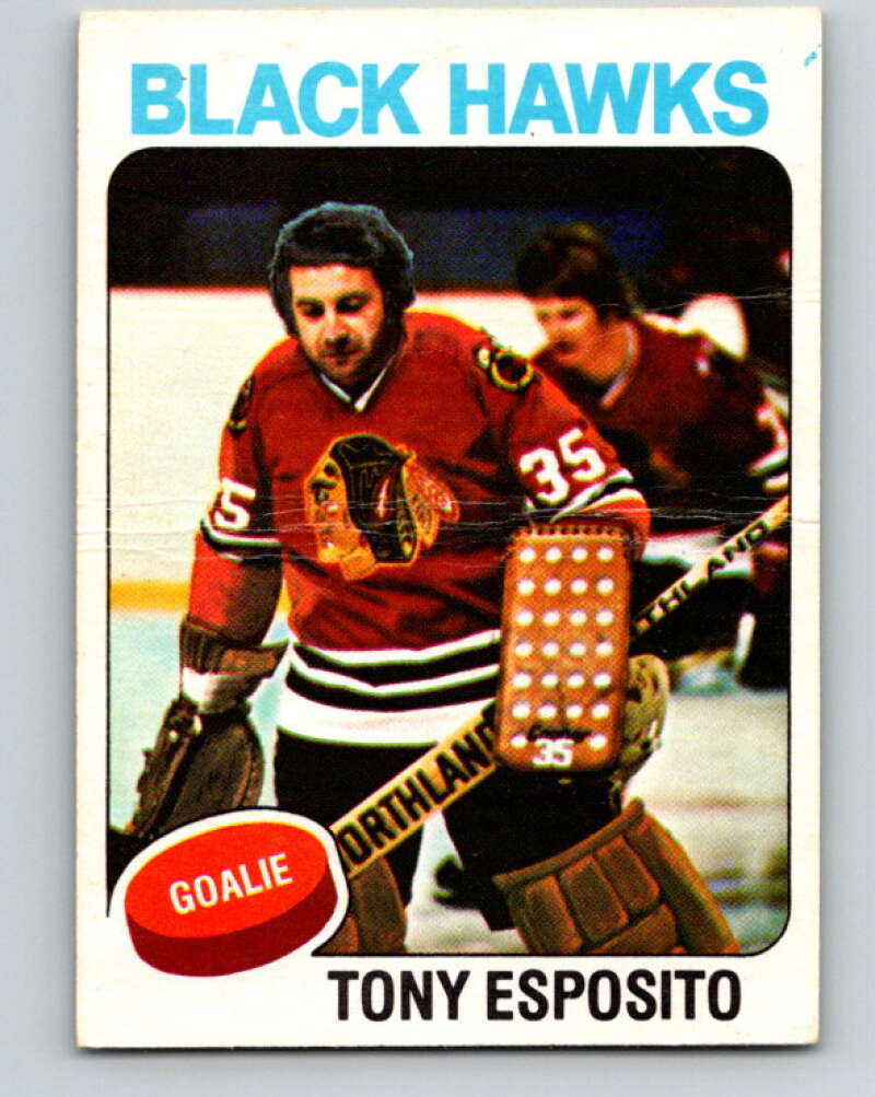 1975-76 O-Pee-Chee #240 Tony Esposito Chicago Blackhawks V6235