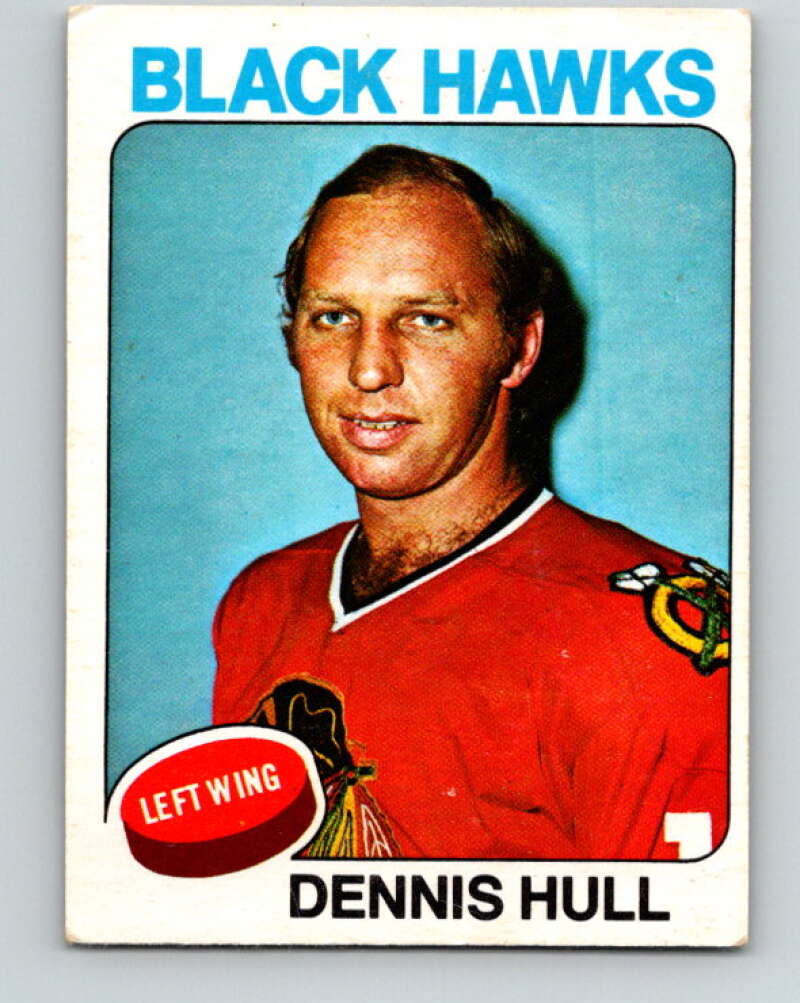 1975-76 O-Pee-Chee #254 Dennis Hull Chicago Blackhawks V6293