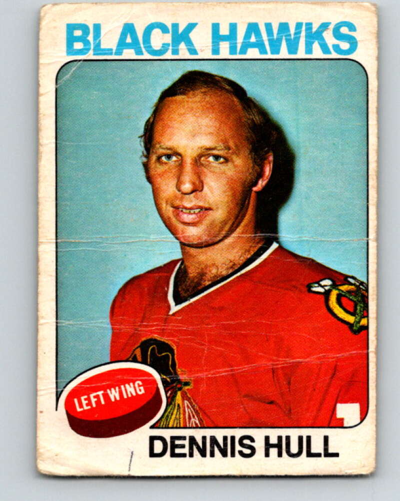 1975-76 O-Pee-Chee #254 Dennis Hull Chicago Blackhawks V6294