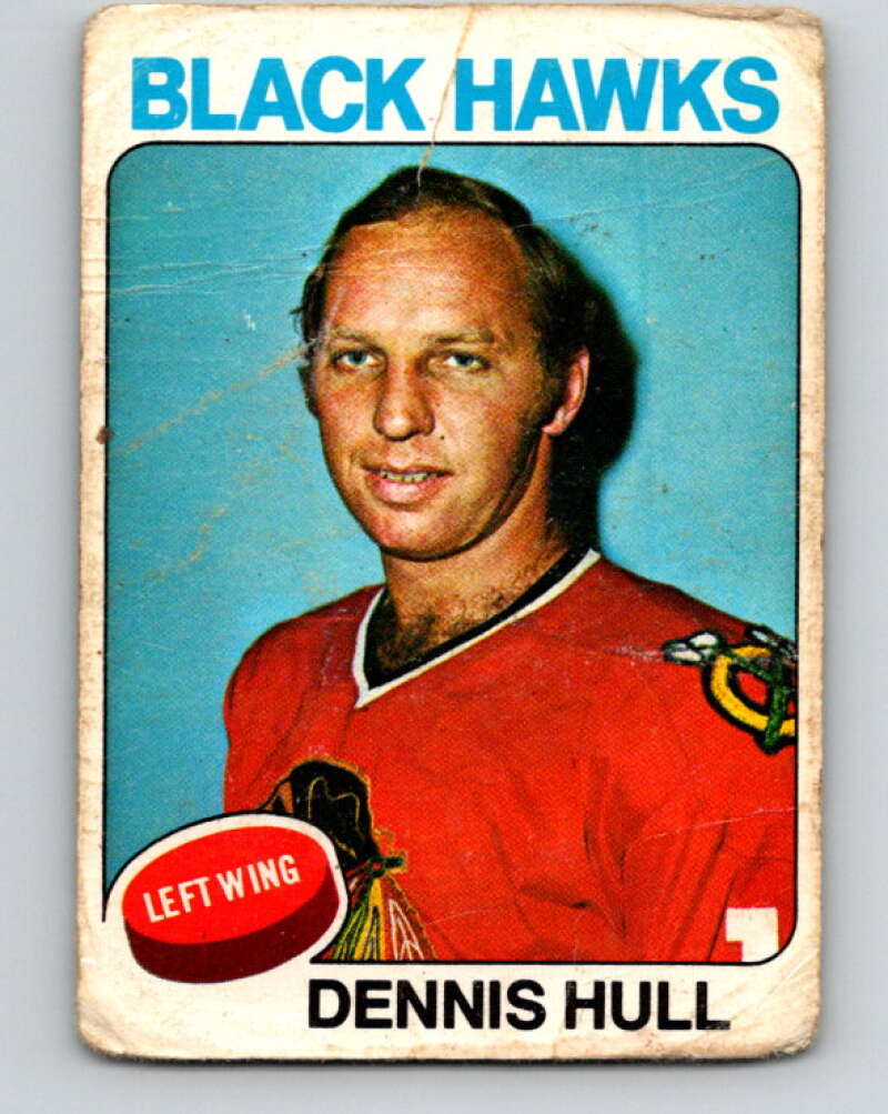 1975-76 O-Pee-Chee #254 Dennis Hull Chicago Blackhawks V6295