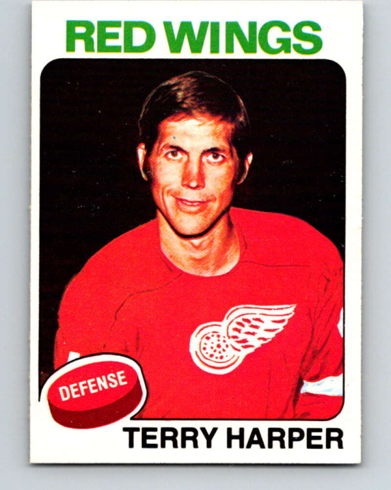 1975-76 O-Pee-Chee #254 Dennis Hull Chicago Blackhawks V6296
