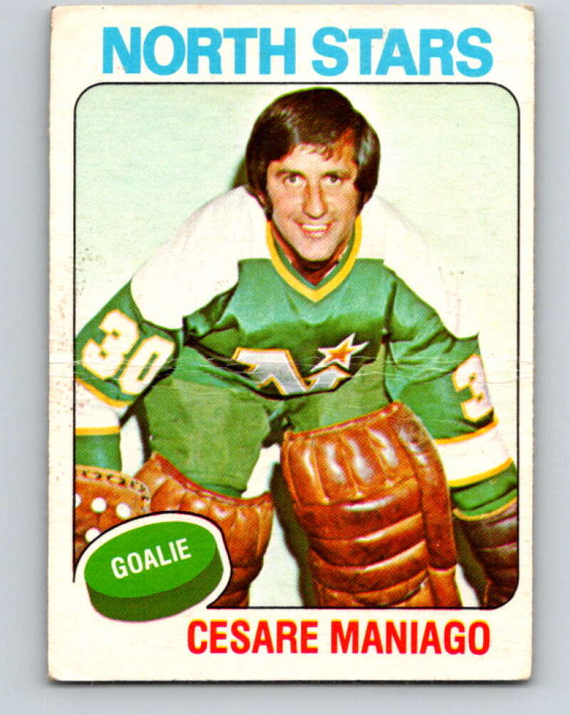 1975-76 O-Pee-Chee #260 Brad Park New York Rangers V6327