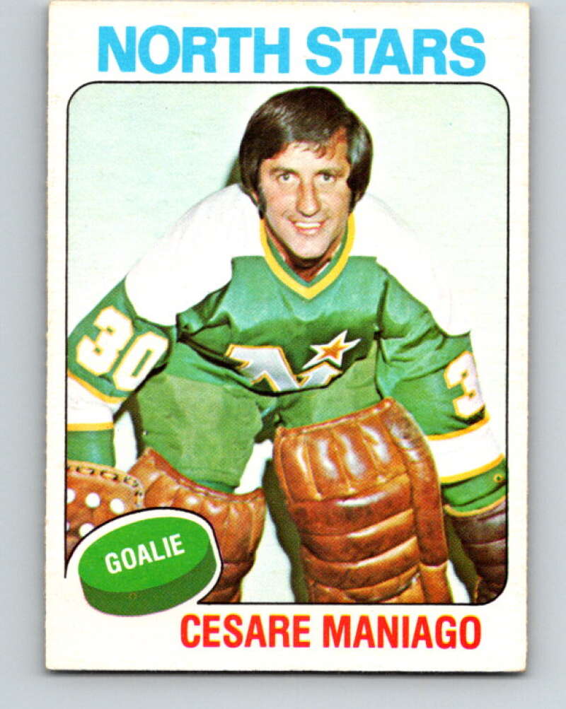 1975-76 O-Pee-Chee #261 Cesare Maniago Minnesota North Stars V6330