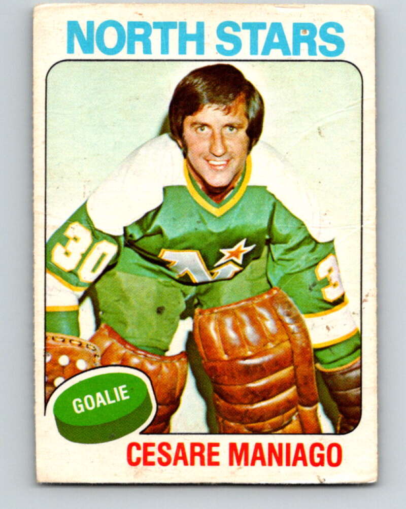 1975-76 O-Pee-Chee #261 Cesare Maniago Minnesota North Stars V6333