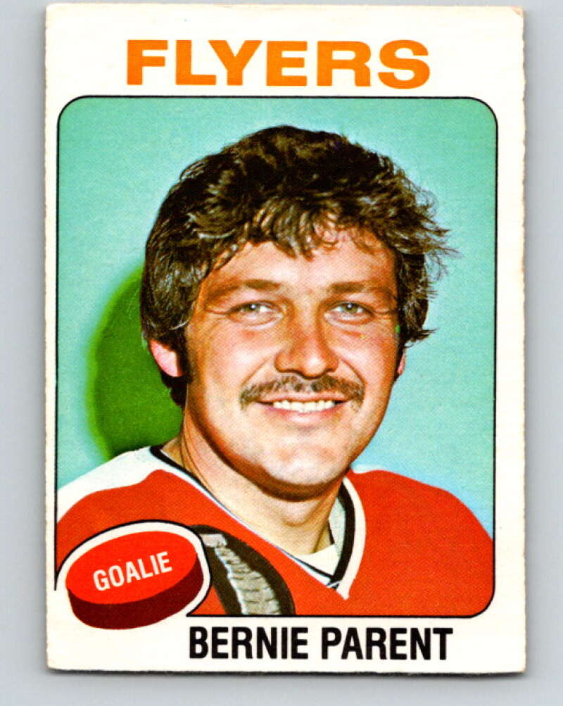 1975-76 O-Pee-Chee #301 Terry O'Reilly Boston Bruins V6528