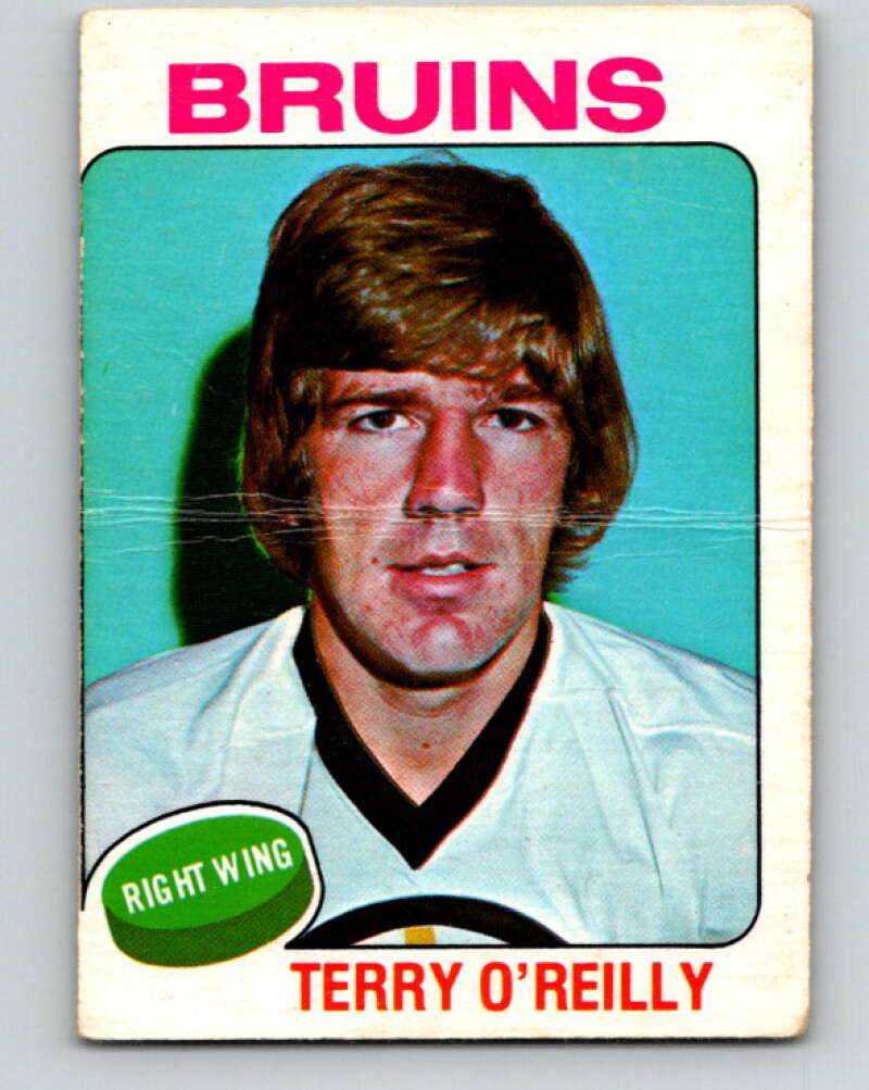 1975-76 O-Pee-Chee #301 Terry O'Reilly Boston Bruins V6532
