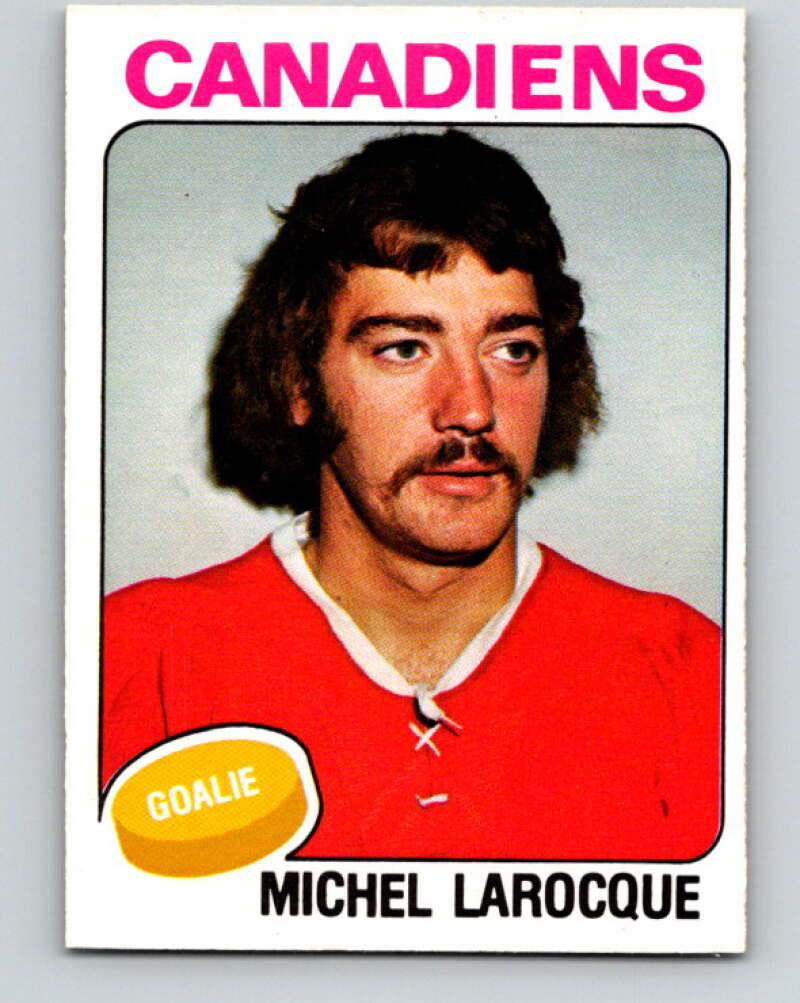1975-76 O-Pee-Chee #362 Michel Larocque Montreal Canadiens V6805
