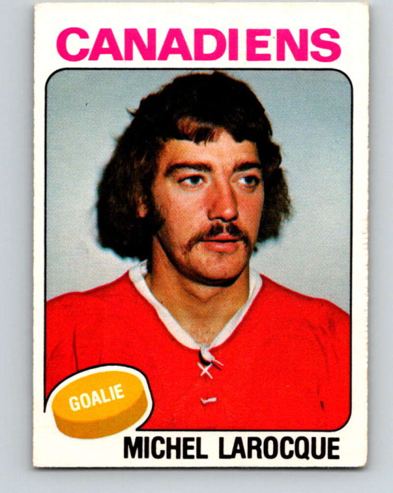 1975-76 O-Pee-Chee #362 Michel Larocque Montreal Canadiens V6806